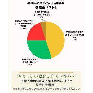 とうもろこし 甘い ギフト お中元 真夜中 ト...の詳細画像2