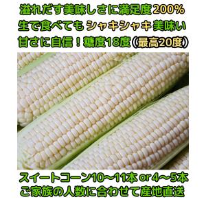 とうもろこし 甘い ギフト お中元 真夜中 ト...の詳細画像5