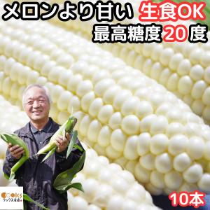 とうもろこし 北海道 白 ホワイトショコラ 10本入メロンより甘い