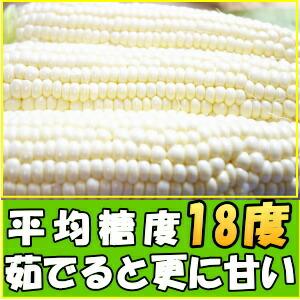 とうもろこし 北海道 白 ホワイト 4本 メロ...の詳細画像1