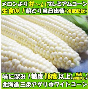 とうもろこし 北海道 白 ホワイト 4本 メロ...の詳細画像3
