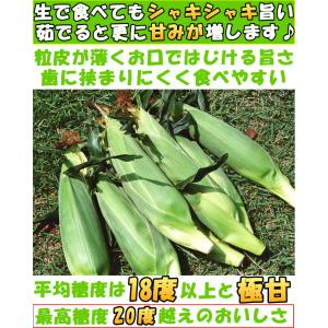 とうもろこし 北海道 白 ホワイト 4本 メロ...の詳細画像4