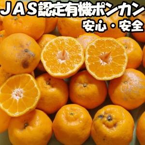 みかん ポンカン 訳あり 3kg 有機 Jas認定 無農薬 甘い 糖度 送料無料 佐賀 鹿島 佐藤農場 有機栽培 オーガニック わけあり ぽんかん 3kg B品 混合 直送 箱 買い Sato Po01 クックス産直ヤフー店 通販 Yahoo ショッピング