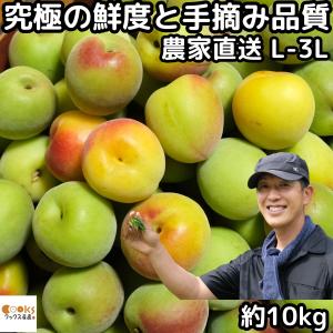 梅 南高梅 10kg L〜3L サイズ 梅干し用 うめ 梅酒用 ウメ 10キロ 奈良 柳澤果樹園 手摘 なんこうばい 生梅