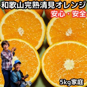 清見 訳あり きよみ 和歌山 有田 完熟 清見オレンジ 5kg 家庭用 送料無料 甘い 糖度 清見タンゴール みかん 5kg 箱 買い お取り寄せ 清美オレンジ Ws Akiyomi 05 クックス産直ヤフー店 通販 Yahoo ショッピング