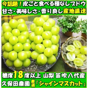 シャインマスカット ギフト 高級 ぶどう 山梨...の詳細画像3