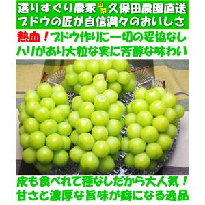 シャインマスカット ギフト 高級 ぶどう 山梨...の詳細画像4
