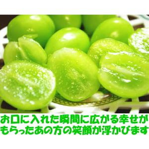シャインマスカット ギフト 高級 ぶどう 山梨...の詳細画像5