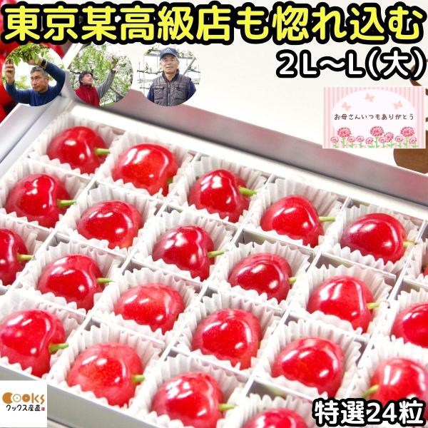 さくらんぼ 母の日 ギフト 遅れてごめん2l〜l大 24粒 東京某高級店御用達 佐藤錦 紅秀峰 紅王...