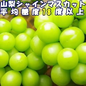 シャインマスカット ぶどう 種無し 皮ごと 産地直送 山梨 種なし ブドウ ギフト 約3kg 4〜7房 大粒 贈答用 平均糖度18度 山梨 牧丘 たねなし 秀品 敬老の日 糖度｜cooksanchoku