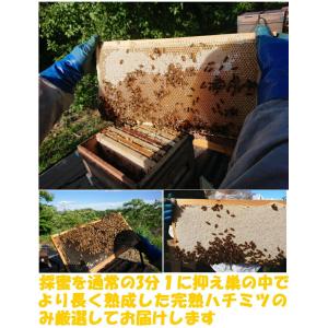 はちみつ 国産 非加熱 無添加 純粋 100%...の詳細画像5