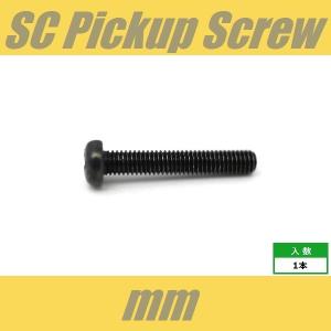 PH3x18-BK　ピックアップビス　シングルコイル　ミリ　M3　ブラック　パンヘッド　PAN　1pcs　なべ頭　レバースイッチビス　シングル　ねじ