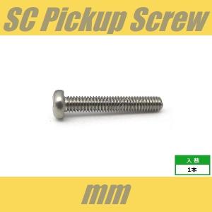 PH3x18-ST　ピックアップビス　シングルコイル　ミリ　M3　ステンレス　パンヘッド　PAN　1pcs　なべ頭　レバースイッチビス　シングル　ねじ