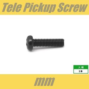 PH4x15-BK　ピックアップビス　テレキャスター・リア用　ミリ　M4　ブラック　パンヘッド　PAN　1pcs　なべ頭　シングル　ねじ