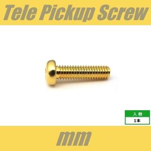 PH4x15-GD　ピックアップビス　テレキャスター・リア用　ミリ　M4　ゴールド　パンヘッド　PAN　1pcs　なべ頭　シングル　ねじ