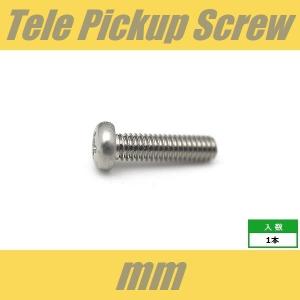 PH4x15-ST　ピックアップビス　テレキャスター・リア用　ミリ　M4　ステンレス　パンヘッド　PAN　1pcs　なべ頭　シングル　ねじ