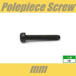 POLEPIECE-mm-BK　ポールピース　ミリ　ブラック　ピックアップ　ねじ
