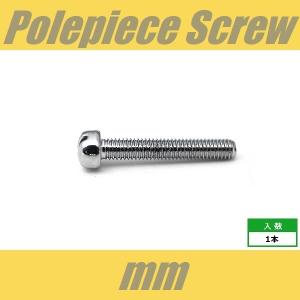POLEPIECE-mm-CR　ポールピース　ミリ　クローム　ピックアップ　ねじ