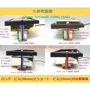 RH3-48x25-NI-S ピックアップビス...の詳細画像2