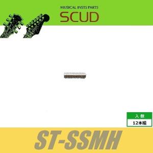 SCUD ST-SSMH　サドル上下ネジ　サドル上下ビス ミリ　Φ3 xL10mm　イモネジ　12pcs　ニッケル　ねじ　スカッド｜cool-hand