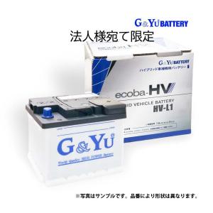G＆Yuバッテリー LN2 HV-L2 エコバ ハイブリッド 補機用 バッティ G&YU