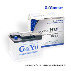高性能　Delkor  プラチナバッテリー D-55566 Amazon.co.jp: Delkor (デルコア) プラチナバッテリー 輸入車用 D