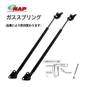 LowRider ハイドロリクス パーツ ProHopper クロームポンプ プロ