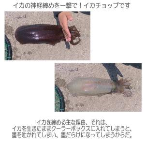 エギンガー 世界の人気ブランド えぎんがー Eginger 餌木 えぎ ステッカー シール 烏賊 アオリイカ 文字だけが残る 転写 イカチョップ ９色 フィッシング カッティング Ishing