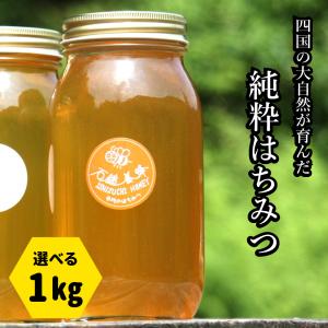 日本ミツバチだけの純粋ハチミツ 600g 和歌山県すさみ町 非加熱