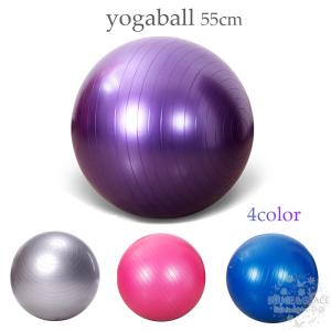 バランスボール ヨガボール 55cm 空気入れ付き ジムボール