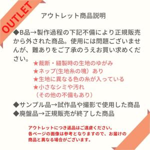 アウトレット レッスンバッグ プールバッグ シ...の詳細画像1