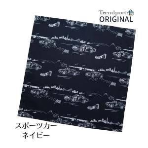 ランチョンマット 正方形 男の子 40cm×4...の詳細画像4