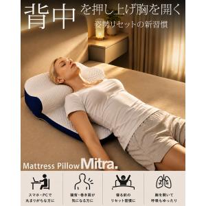 枕 ブルーブラッド まくら 背中まである 背中...の詳細画像1