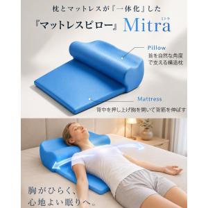 枕 ブルーブラッド まくら 背中まである 背中...の詳細画像4