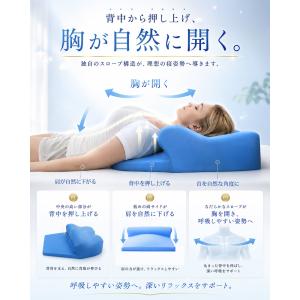 枕 ブルーブラッド まくら 背中まである 背中...の詳細画像5