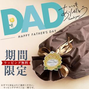 足枕 フットピロー あしまくら 腰痛 腰痛 脚...の詳細画像1