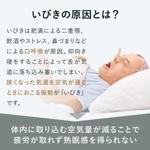枕 いびき防止 まくら パイプ枕 日本製 睡眠...の詳細画像1