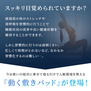 BlueBloodエアテックスリーパー 敷きパ...の詳細画像1