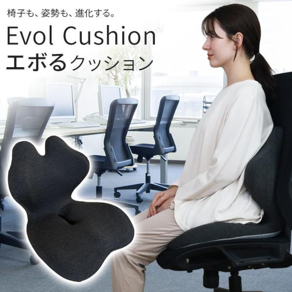 エボるクッション  クッション　シートクッション 椅子クッション 一体型 骨盤 姿勢 低反発