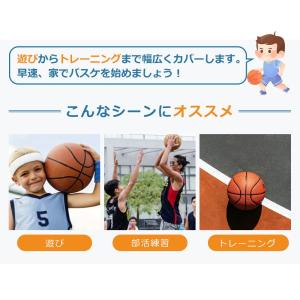 バスケットゴール 公式&ミニバス対応 230-305cm 5段階高さ調節 バスケットゴール 公式&ミニバス対応 230-305cm 5段階高さ調節