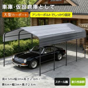 カーポート スチール製 車用シェルター 高耐久性 屋根付き 鉄製