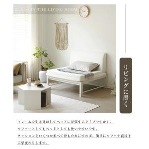 【全店5%OFFクーポン利用!】【特別価格!】...の詳細画像5