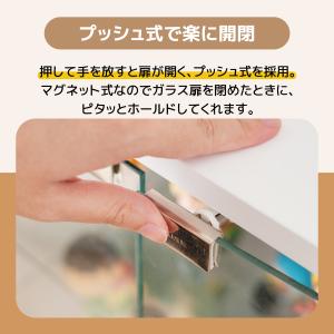 【先着20名様5%OFFクーポン!】コレクショ...の詳細画像3