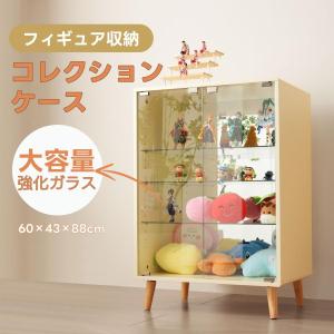 【先着20名様5%OFFクーポン!】コレクショ...の詳細画像2