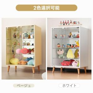 【先着20名様5%OFFクーポン!】コレクショ...の詳細画像4