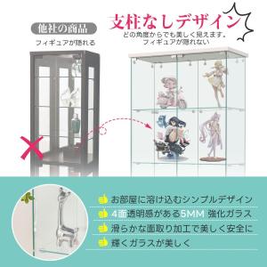 【レビュー特典付き】コレクションケース 両扉タ...の詳細画像4