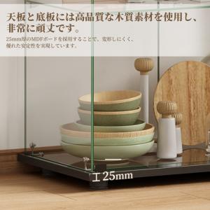 コレクションケース 両扉タイプ 大型 ワイドタ...の詳細画像5