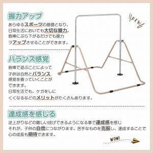 【全店5%OFFクーポン利用!】鉄棒 室内 子...の詳細画像2