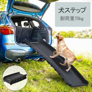 安心・安全を追求した【Hakusan・ドッグスロープ】 : 1stDogCafe