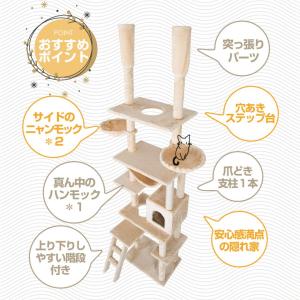 【全店5%OFFクーポン利用!】キャットタワー...の詳細画像2